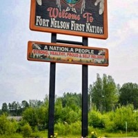 Fort Nelson First Nation files for judicial review to protect threatened boreal caribou