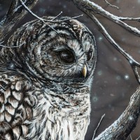Feature artist for Dec. 2016: Amy Keller-Rempp
