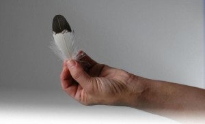 eagle feather