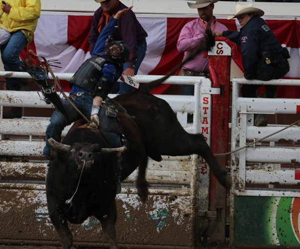 Bullrider Ryan Dirteater made it into the Sunday showdown. 