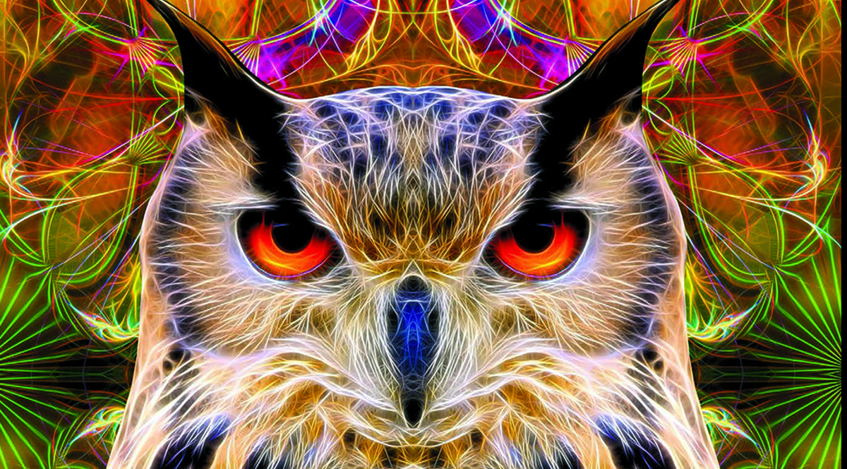 Feature artist for January 2026: Timothy Raven Mohan